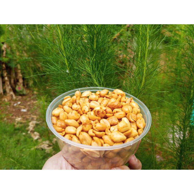 

Kacang bawang super gurih renyah/250gr/Original