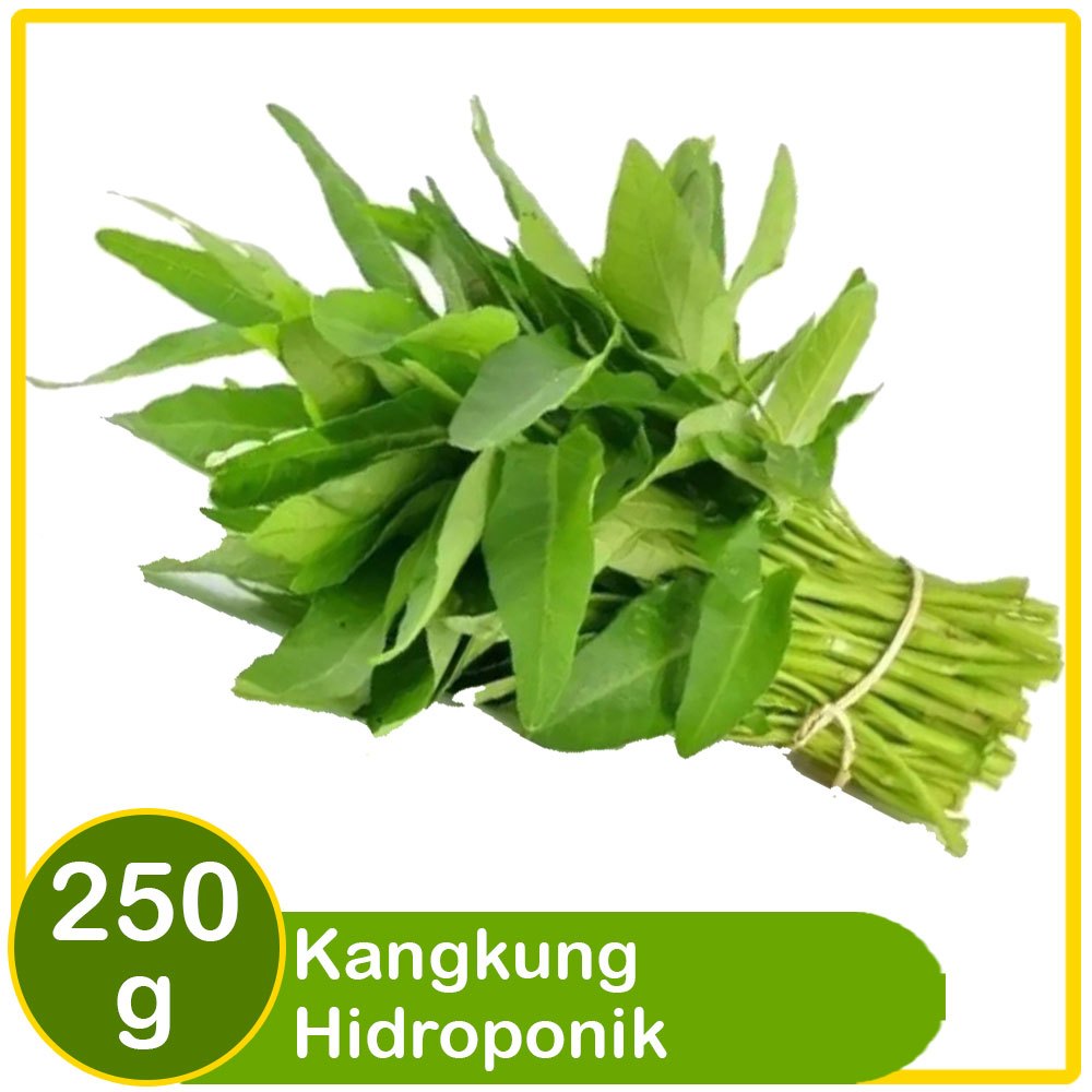 

Batamindo Kangkung Hidroponik 250g – Segar, Sehat, & Berkualitas!