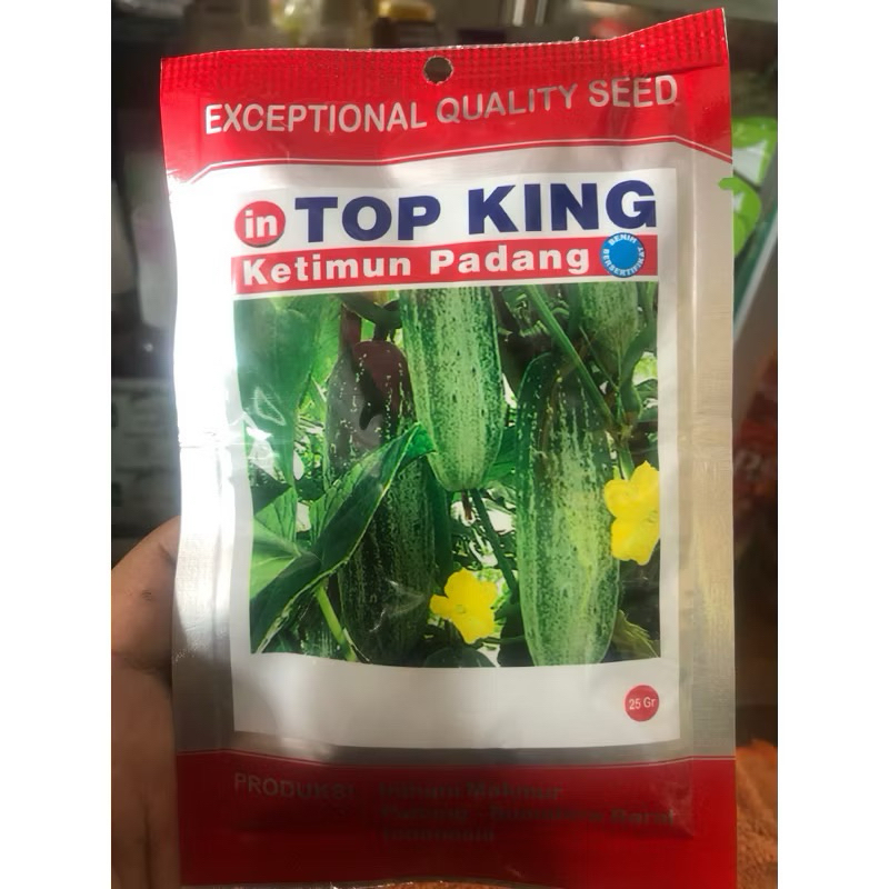 TOP KING BIBIT KETIMUN PADANG/ mintimun padang