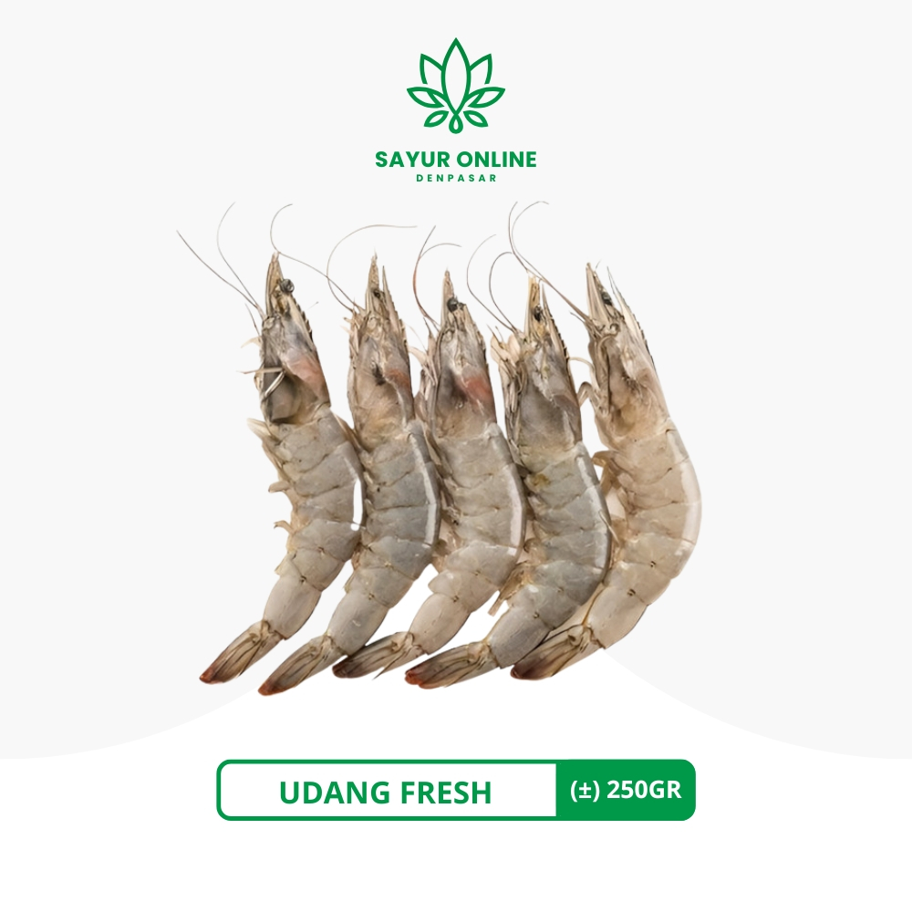 

Udang Fresh 250gr - Sayur Online Denpasar