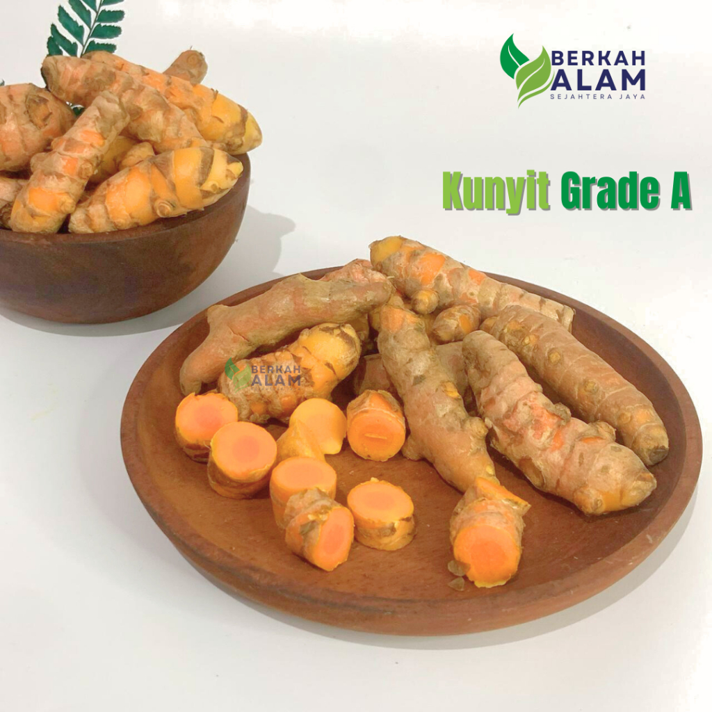 

Grosir 5 Kg Kunyit Grade A Kunir SP A Kunyit Fresh Kualitas Terbaik Berkah Alam Sejahtera Jaya
