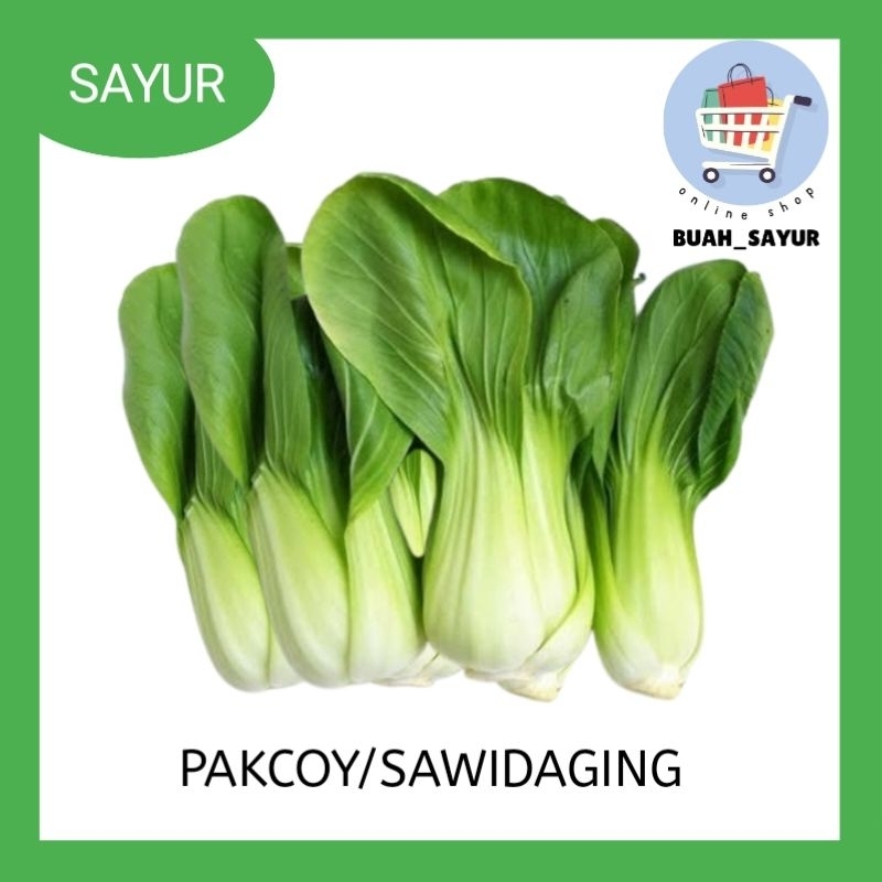 

Sayur pakcoy / sawi daging 100 gr fres