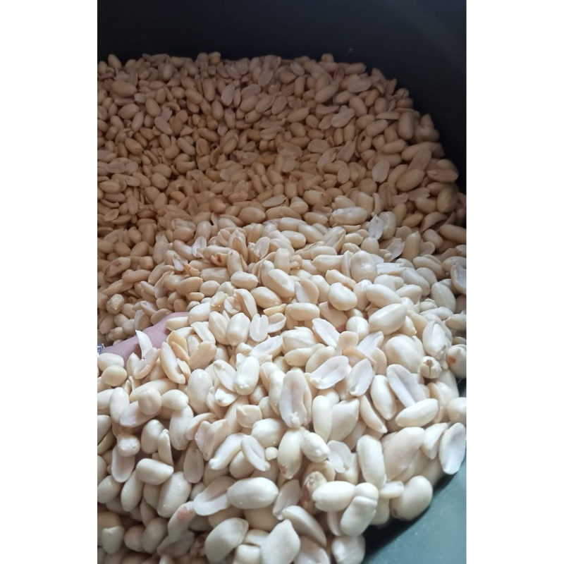 

kacang kupas mentah 25/29
