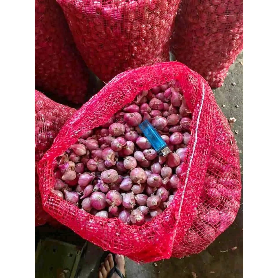 

Bawang merah Super kemasan 250gram