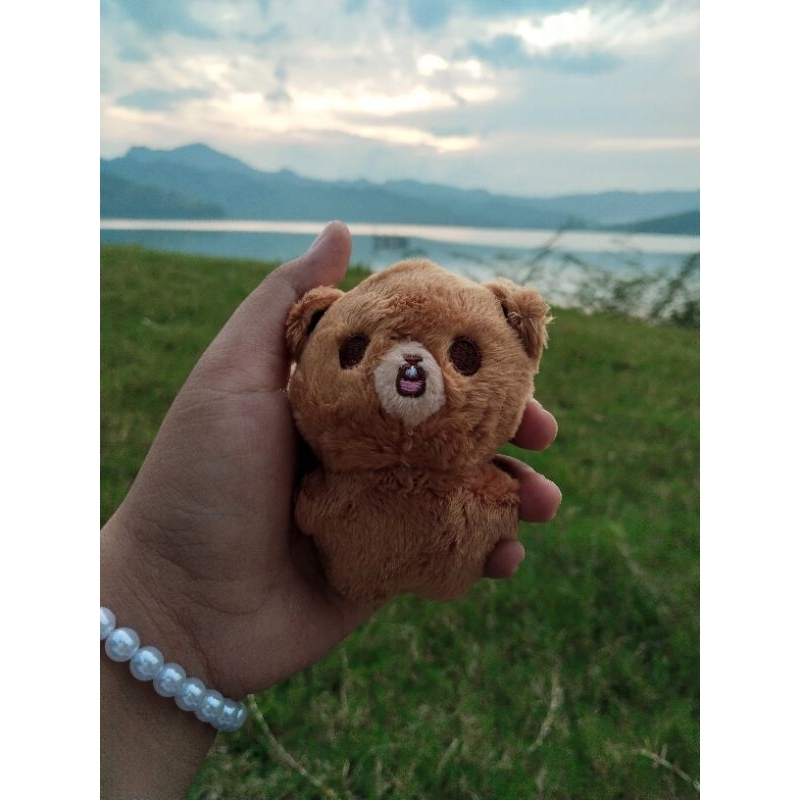 

co dayu