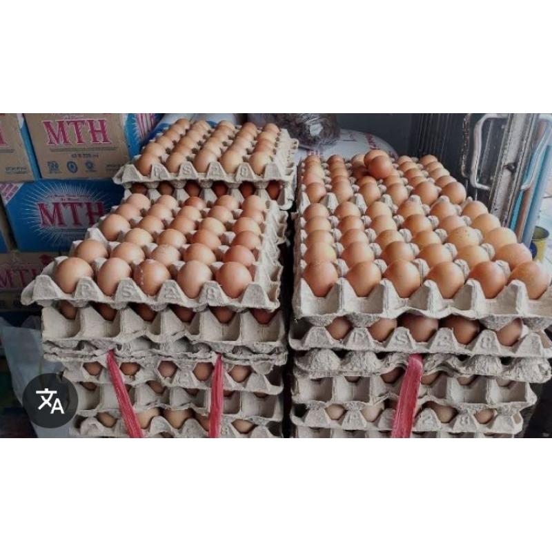

TELUR AYAM EROPA 1 PAPAN (GROSIR)