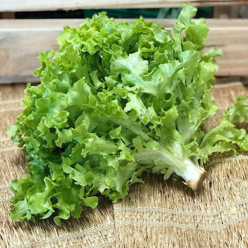 

CITRALAND FRESH MARKET [K-52] - SELADA KERITING FRESH