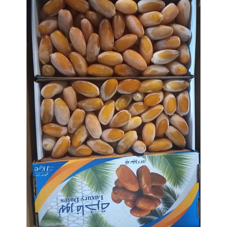 

Special Kurma Ruthob Libya 1kg Fresh kurma muda KURMA FROZEN
