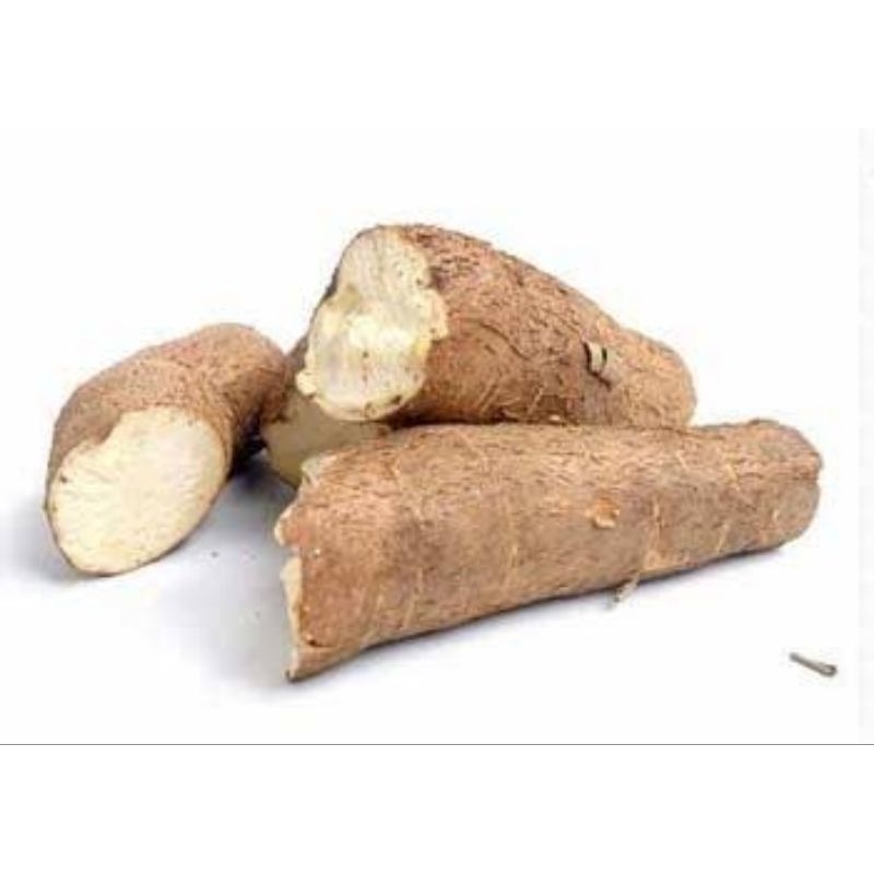 

Ubi Kayu Roti / Singkong