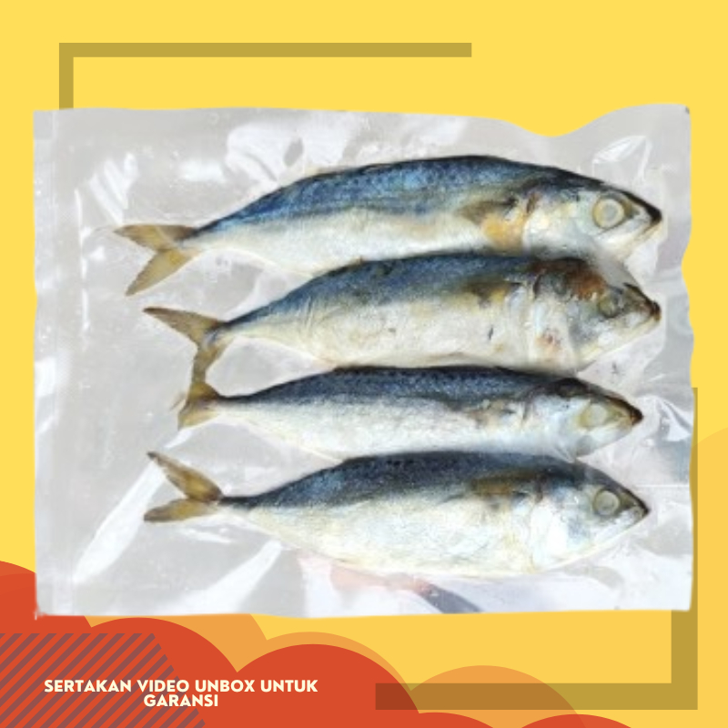 

ikan asin peda / (size jumbo) produk pilihan 250 gram 250gr isi 5-6 termurah terlaris terdekat