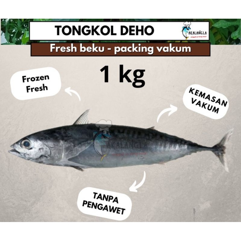 

ikan tongkol dho/ lisong segar 1 kg