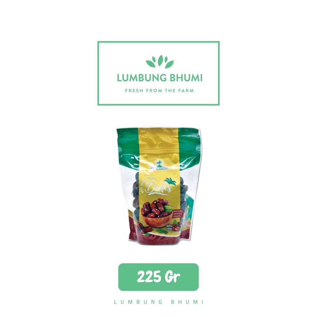 

FIRST DATES Kurma 225 Gr 1 Pcs - Lumbung Bhumi