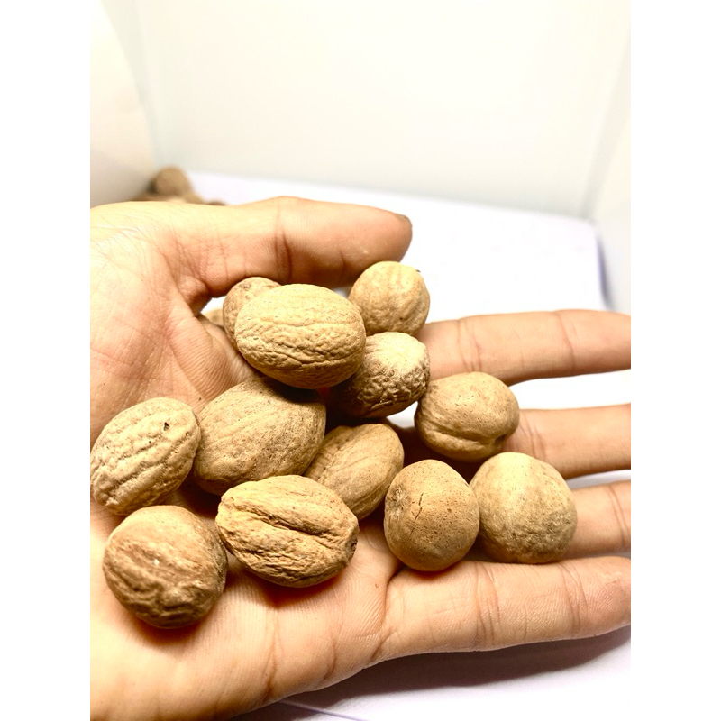 

KTr190 Biji Pala Utuh 1kg / Biji Pala Bulat / Biji Pala Kupas / Biji Pala / Nutmeg Seed