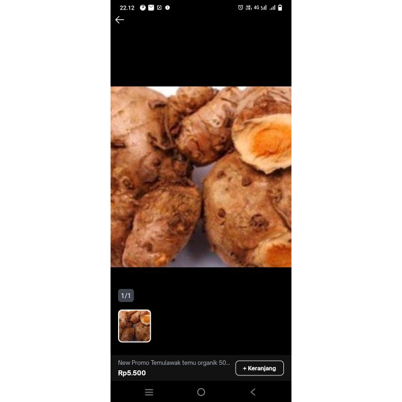 

peromo temu lawak per 500 gram