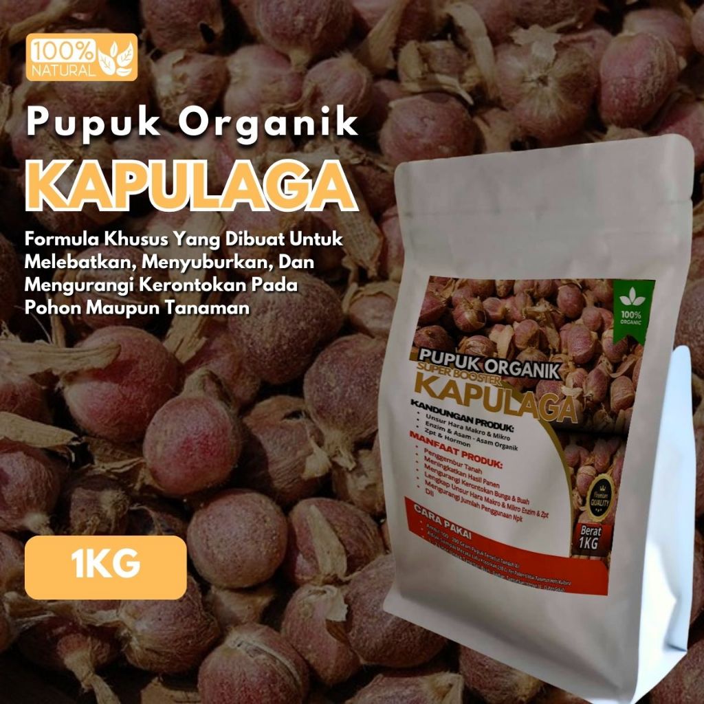 Pupuk Kapulaga Penyubur Pelebat Buah Booster Kapulaga Perangsang Pembuahan agar Cepat Berbuah Lebat