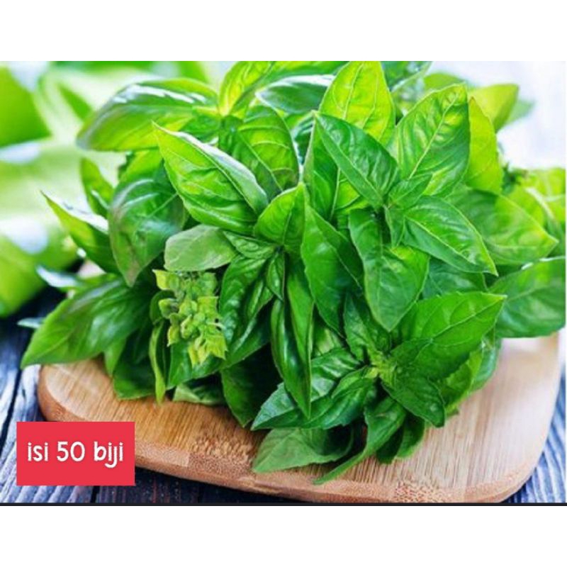 BIBIT KEMANGI, BIJI KEMANGI, KEMANGI , BIBIT SERIBUAN, BENIH KEMANGI, BIBIT KEMANGI LALAP