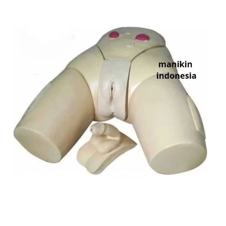 MANIKIN KATETER | MANIKIN MULTI FUNGSI | PHANTOM | ALAT PERAGA KATETER PRIA DAN WANITA