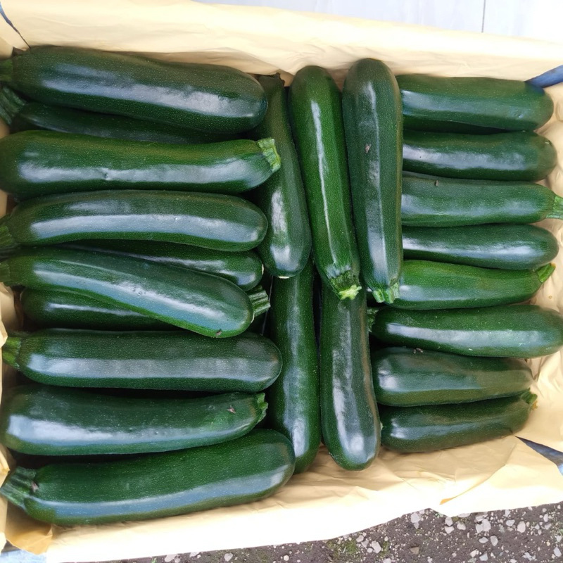 

sayuran zuucchini/cukini/zukini per 1kg