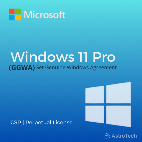 MICROSOFT WINDOWS 11 PRO PRODUCT KEY