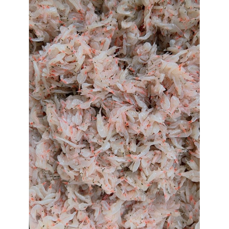 

Saeujeot (Fermented Shrimp) Udang Fermentasi HALAL