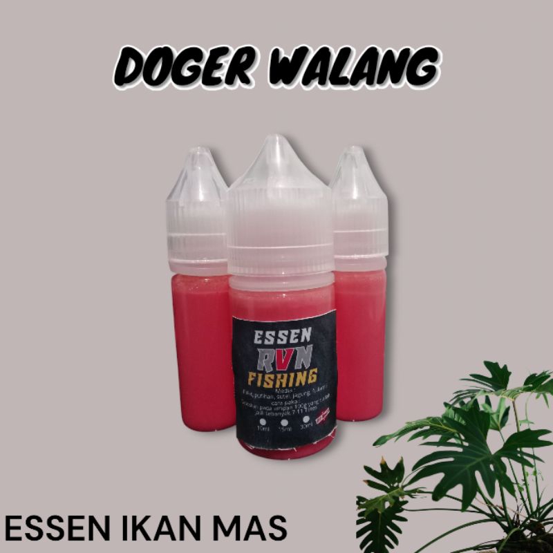 Essen DOGER WALANG ikan mas