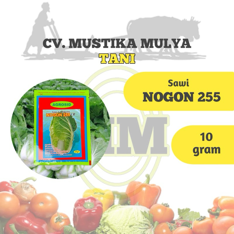 BENIH SAWI ( NOGON ) AGROSID