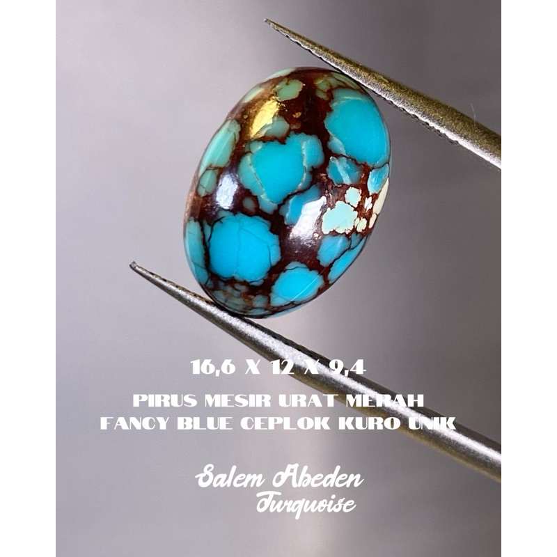 PIRUS MESIR URAT MERAH ORIGINAL NATURAL