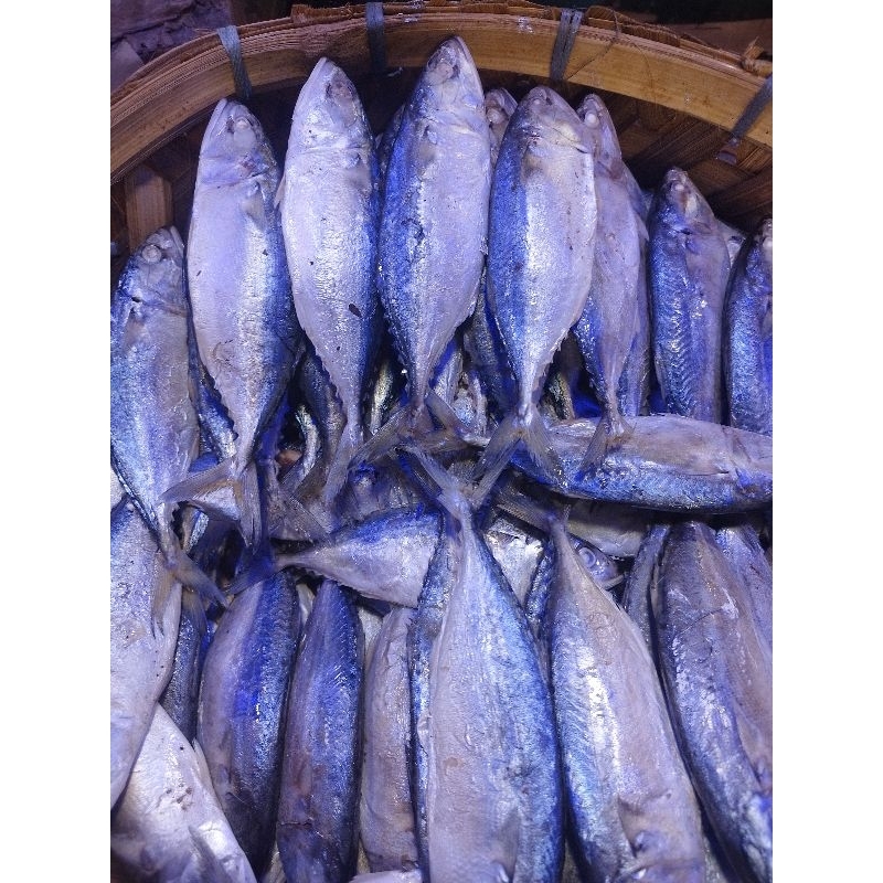 

Ikan Kembung/Ikan Rebus khusus instan & sameday