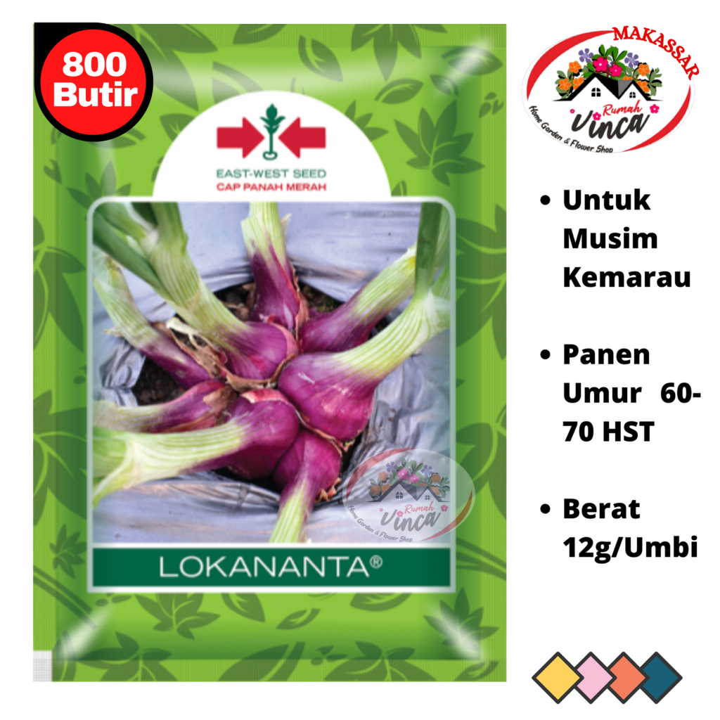 Bibit Benih Bawang merah biji TSS LOKANANTA 800 Biji Cap Panah Merah