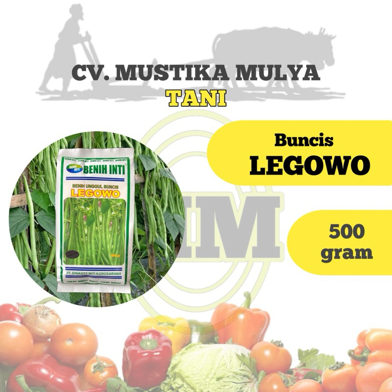 BENIH BUNCIS ( LEGOWO ) BENIH INTI