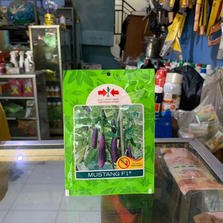 Bibit Terong Ungu / Benih Terong Ungu Mustang F1 Cap Panah Merah