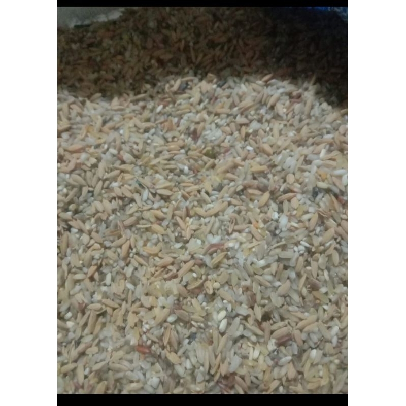 

Beras Rijek 25 kg