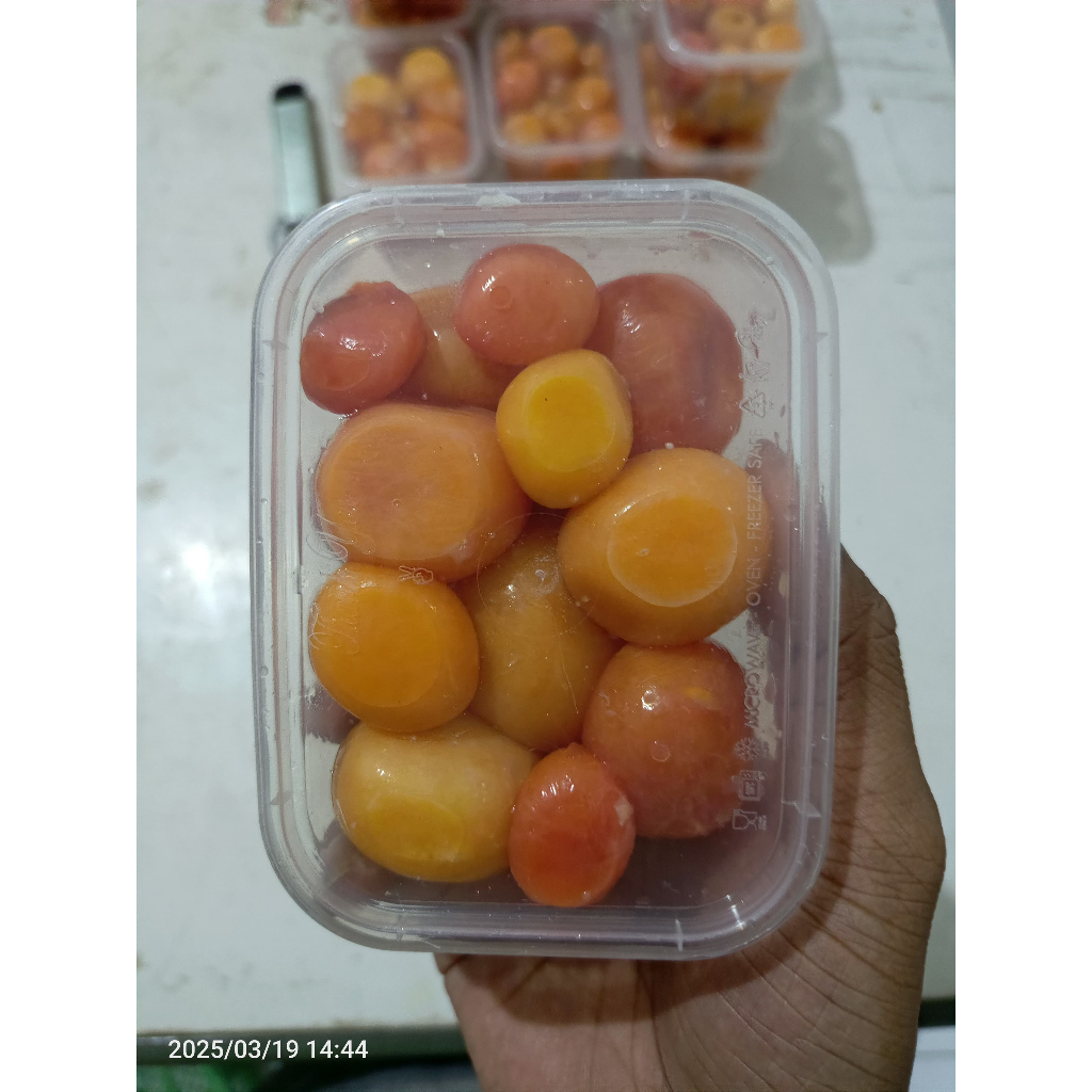Uritan beku / telur muda frozen Umpan Galatama LELE