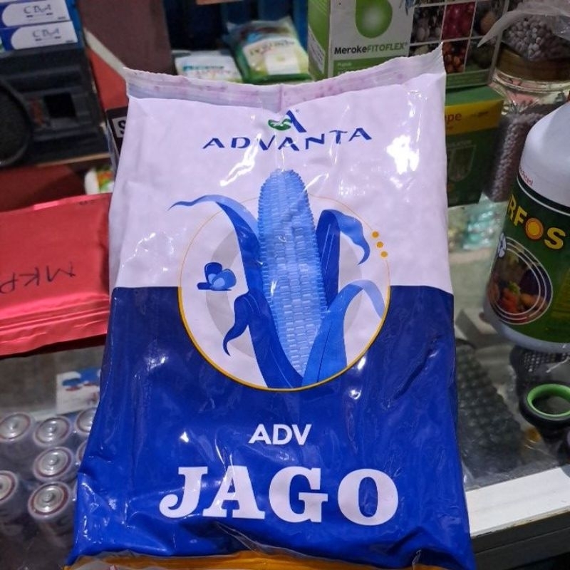 Benih Jagung Hibrida ADV Jago 1kg/Benih Jagung/Advanta Jago