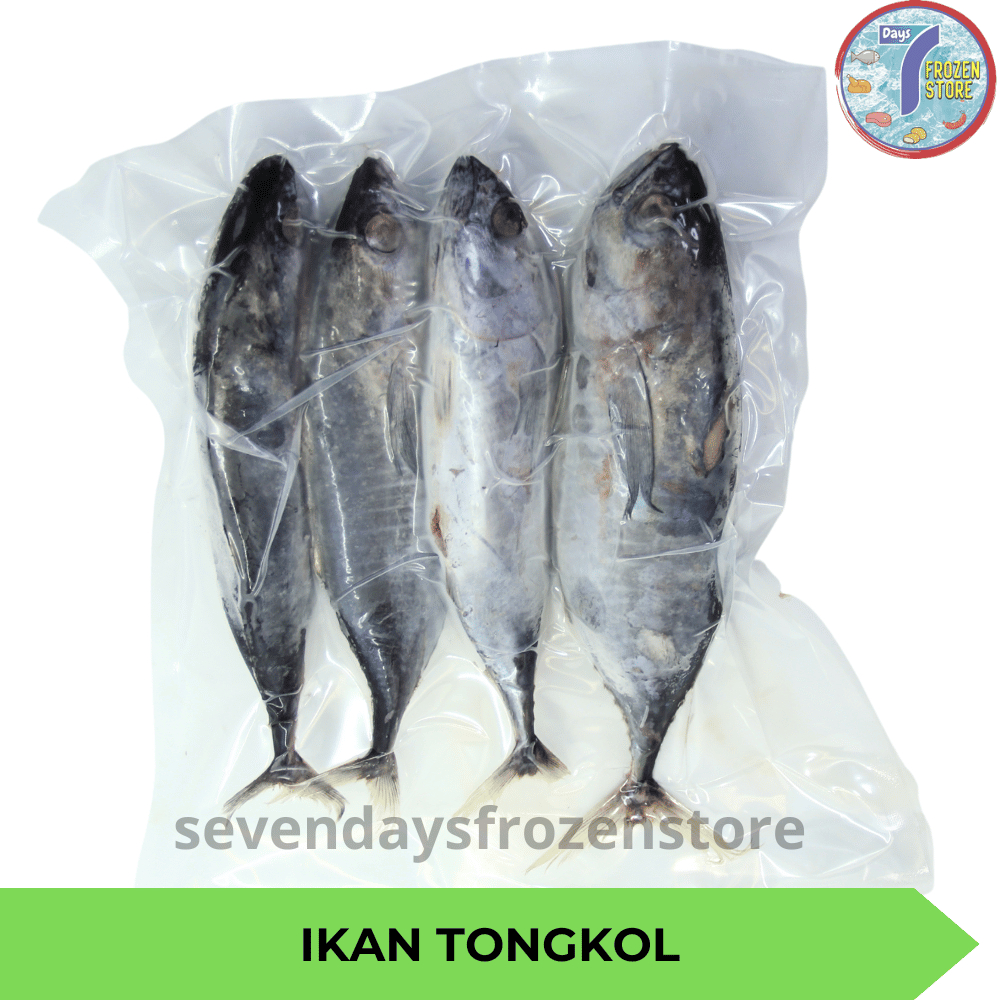 

RB Ikan Tongkol Beku Kapal Frozen 2 kg
