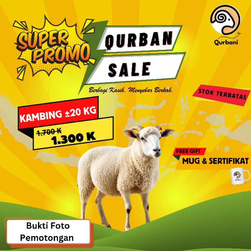 

Qurban Kambing Full Distribusi