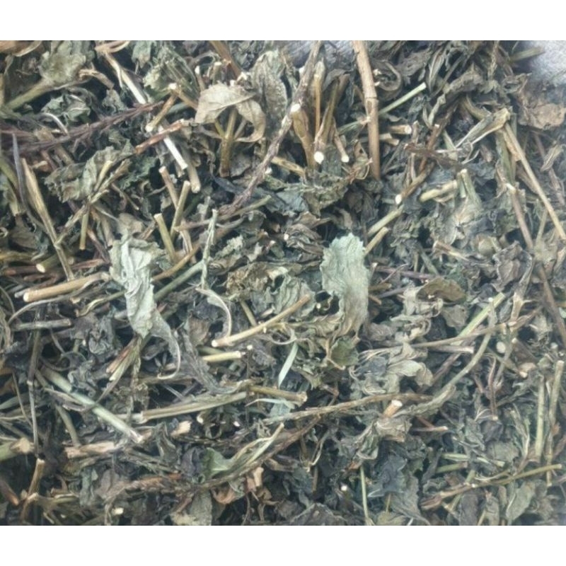 

Daun jarong kering daun pecut kuda kering 250 gram