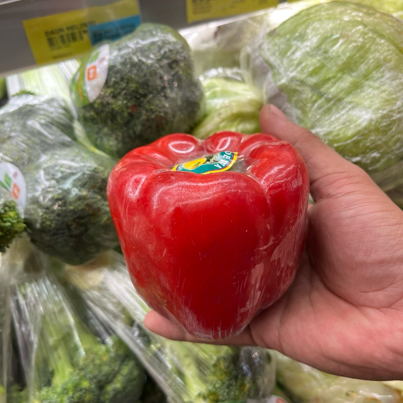 

Paprika merah/kuning/hijau