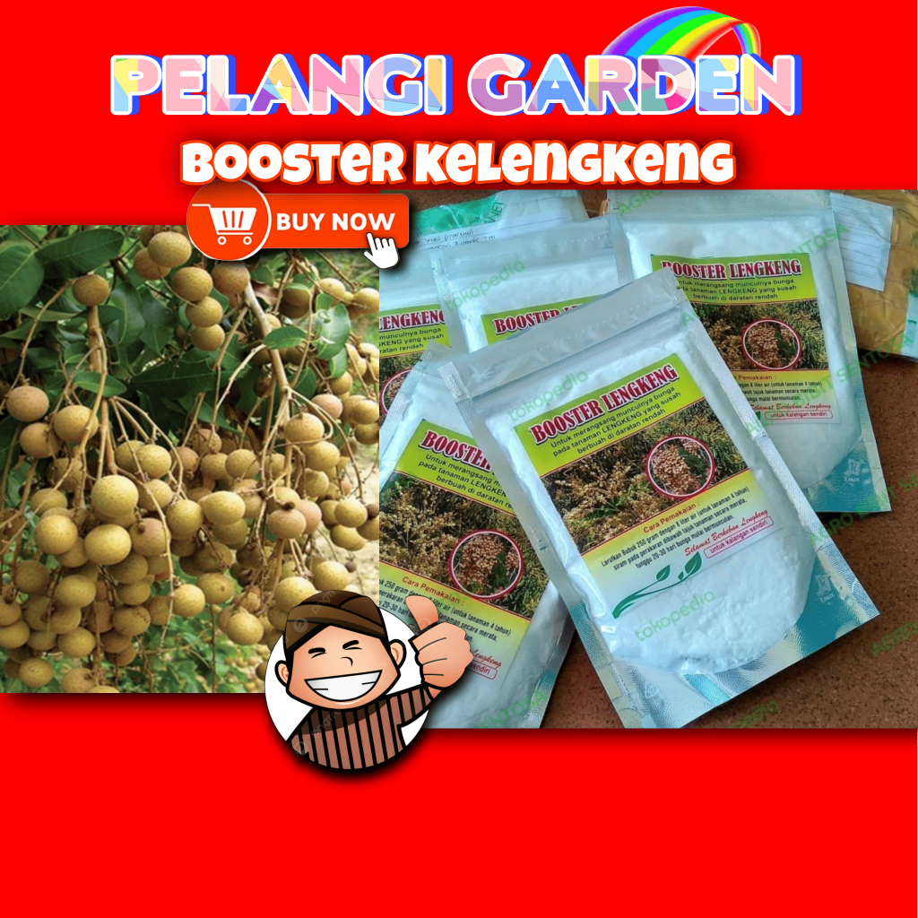 PROMO  Booster Buah Kelengkeng Potasium