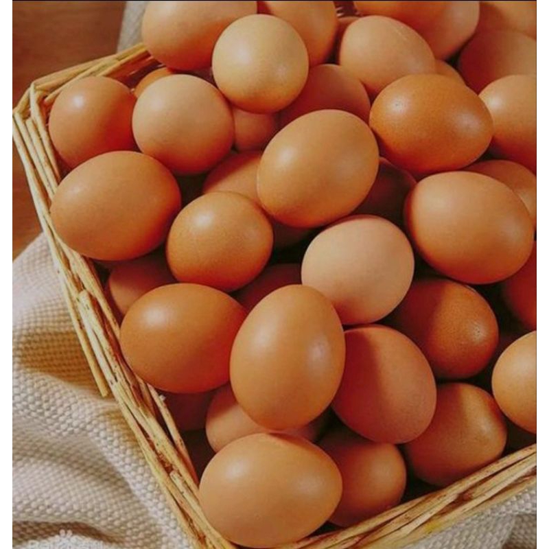 

Telur Ayam Negeri Pack isi 10 biji/ISI 16 BIJI(1 KG)/ISI 4 BIJI