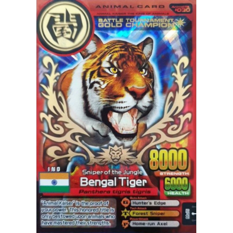 (KW) Animal Kaiser Bengal Tiger Gold Champion