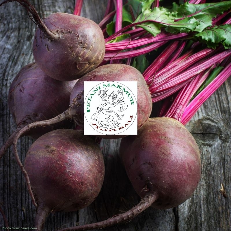 

JYOTI BEETROOT 500 GR