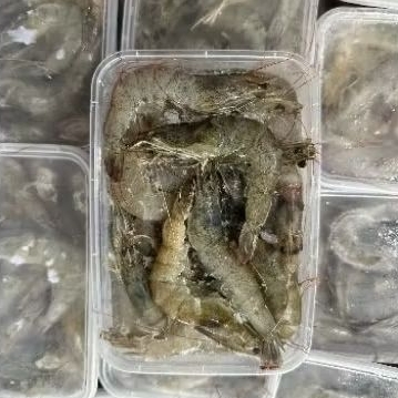 

UDANG VANAME SEGAR BEKU 500 GRAM