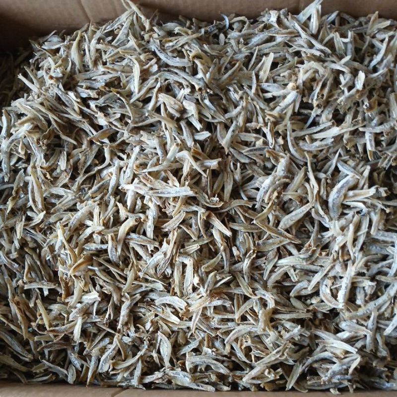 

ikan teri jengki