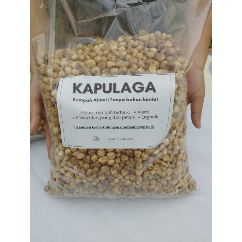 

Kapulaga jawa sudah kering alami / rempah kapulaga