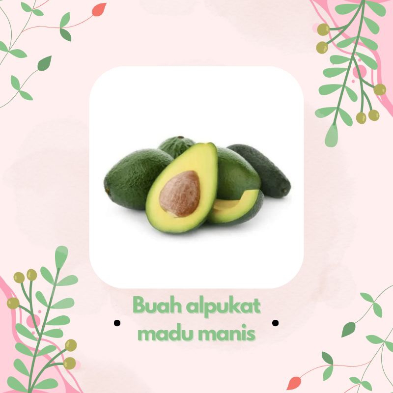 

ALPUKAT UNTUK KESEHATAN