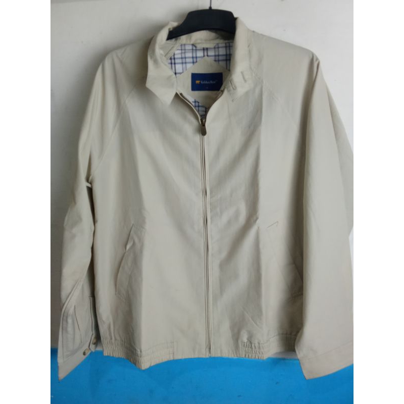 Casual Golden Bear Hoodie