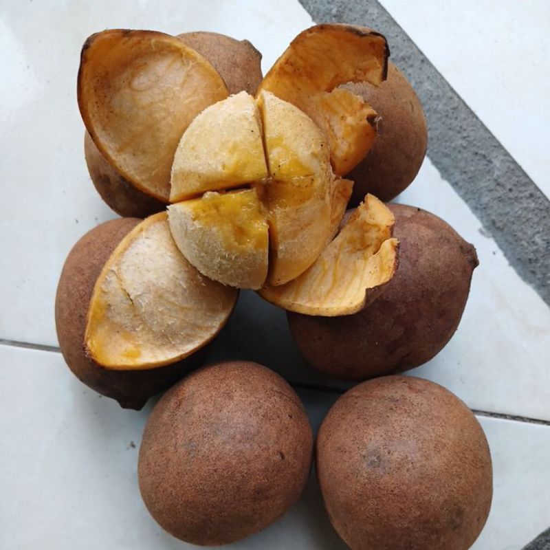 Buah Kepel Segar 1 kg  Manis dan Wangi Kue / Buah kecindul / Buah cindul / Buah simpol / Buah  burah