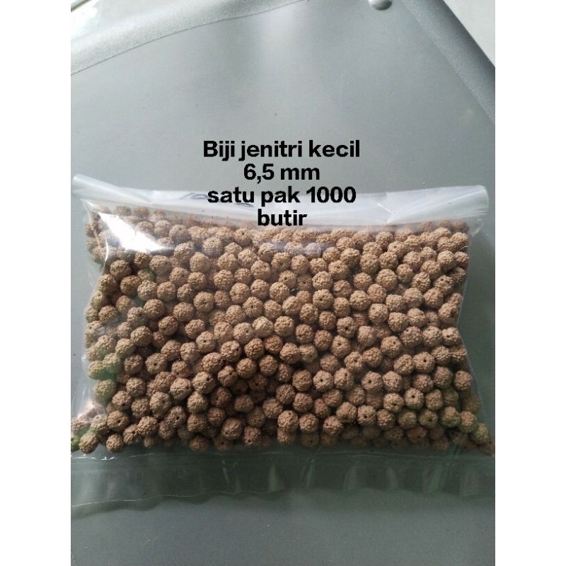 Lukchup_20 Jenitri Kecil Satu Pak 1000 Butir Size 6,5 Mm Sudah Berlobang