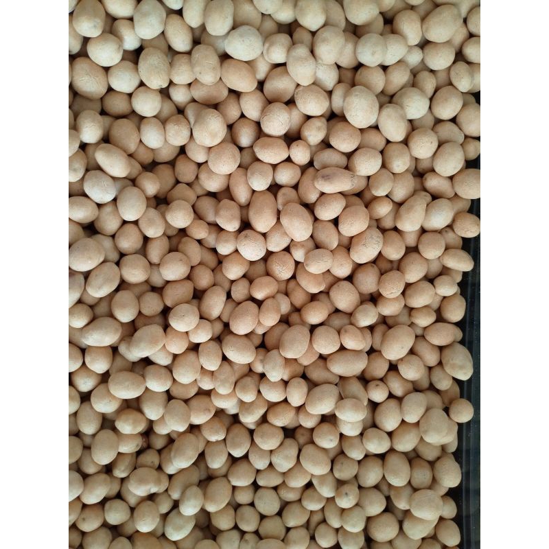 

Kacang atom satelit 500Gram